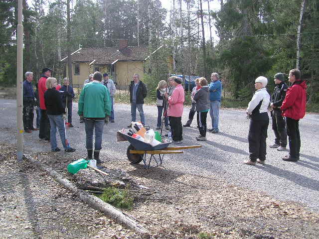 stddag 2011