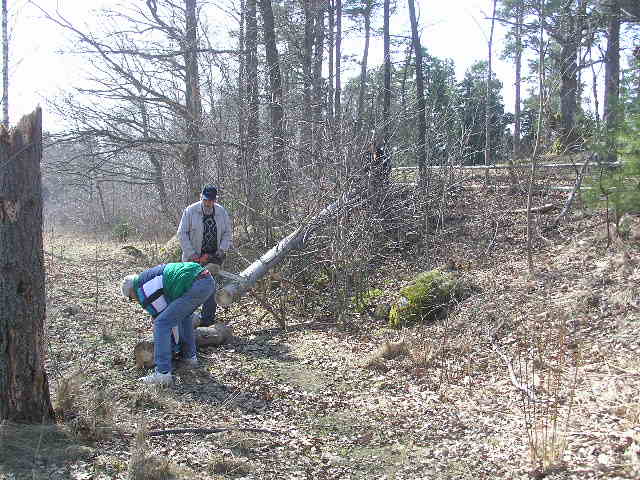 stddag 2011