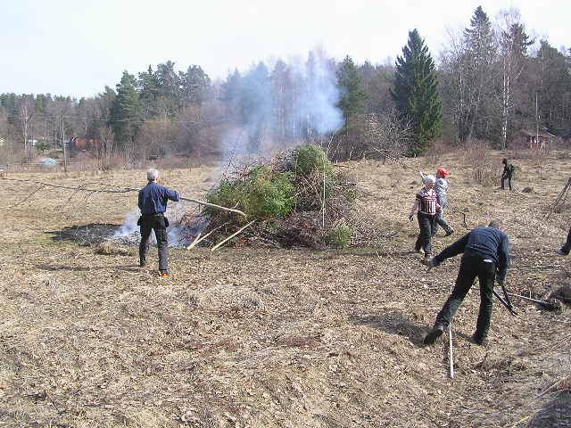 stddag 2011