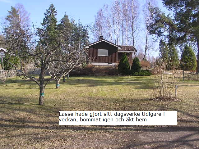stddag 2011