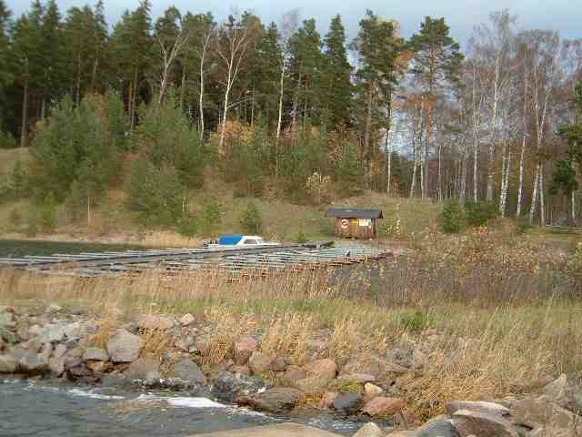 bthamn1