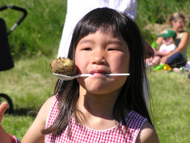 midsommar2004