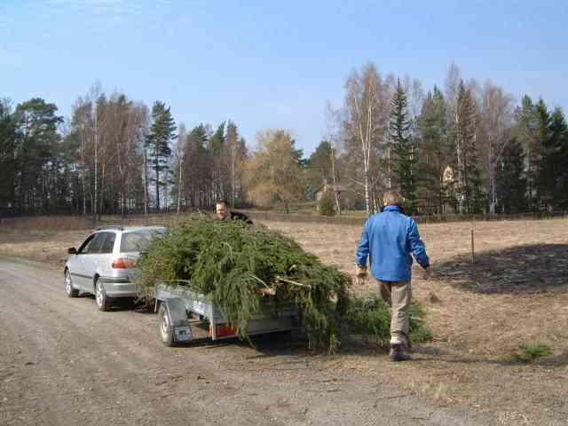 Stddag2002